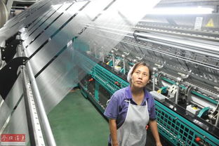 全球工业减速潮涌 脆弱企业生存困境与产业转型之路